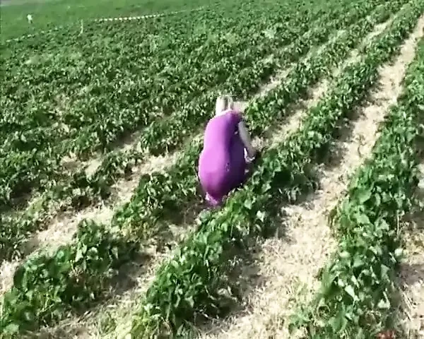 Fucking After Picking Up Strawberries
