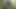 Hot Quickie - I let myself be fucked in the forest