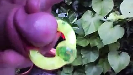 Pa halkaları
