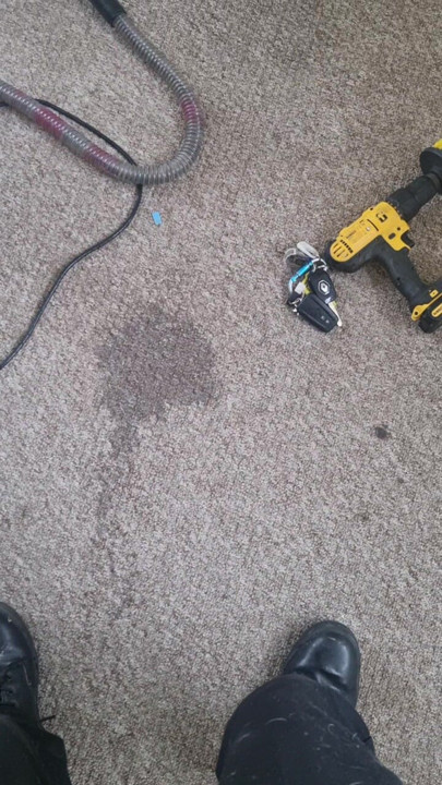 Pissing on carpet (for fun).