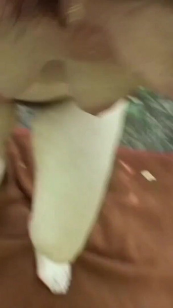 Moment spectaculaire de « Une mamie de 74 ans à la chatte poilue - POV, sexe en plein air avec une ado »