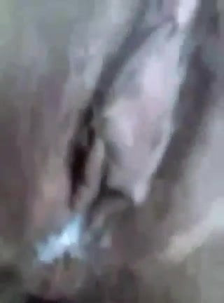 Tupa kurva ulqta sus sperma