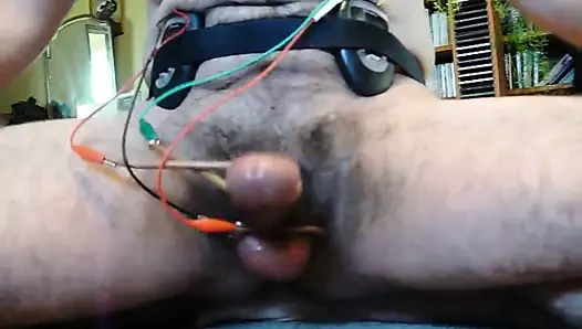 double estim