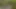 vtt