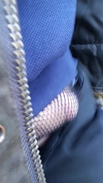 Rue animée avec une bite dans mon jean