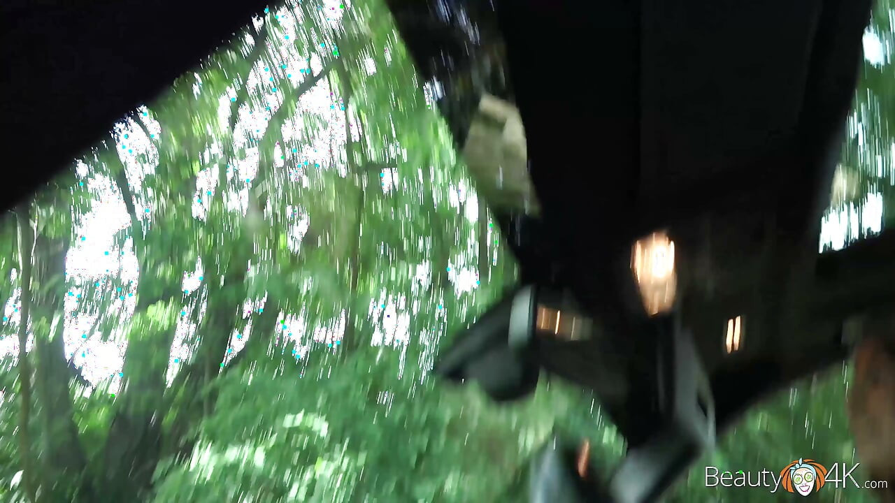 Real beauty got her pussy drilled in car