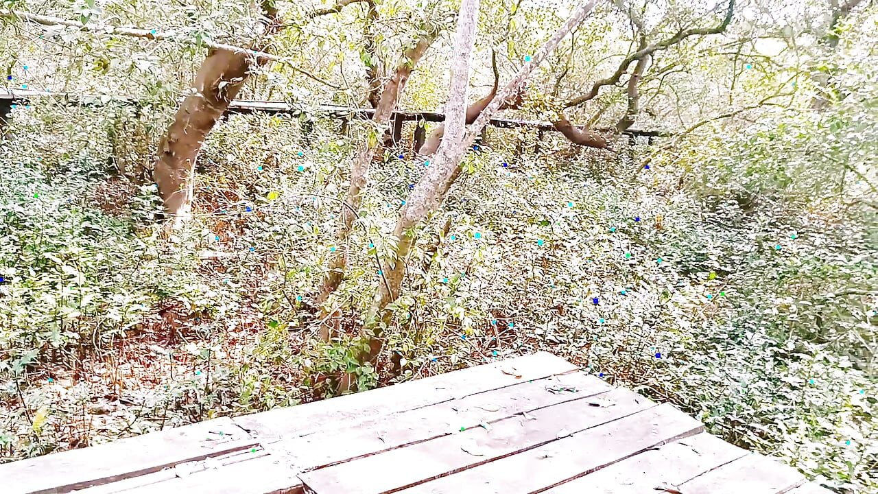 Silk Stepaunty Outdoor Sex Telugu Dirty Talks.