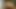 Amateur homemade threesome ffm
