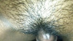 Pratinjau video