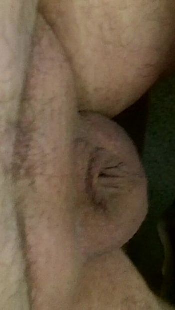 Charlie Johnson's intersex clit-like penis retracting into top of balls(1)