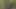 Wilderness Cum