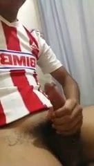 Chivas