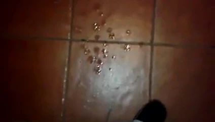 tributo per maschiomaturo