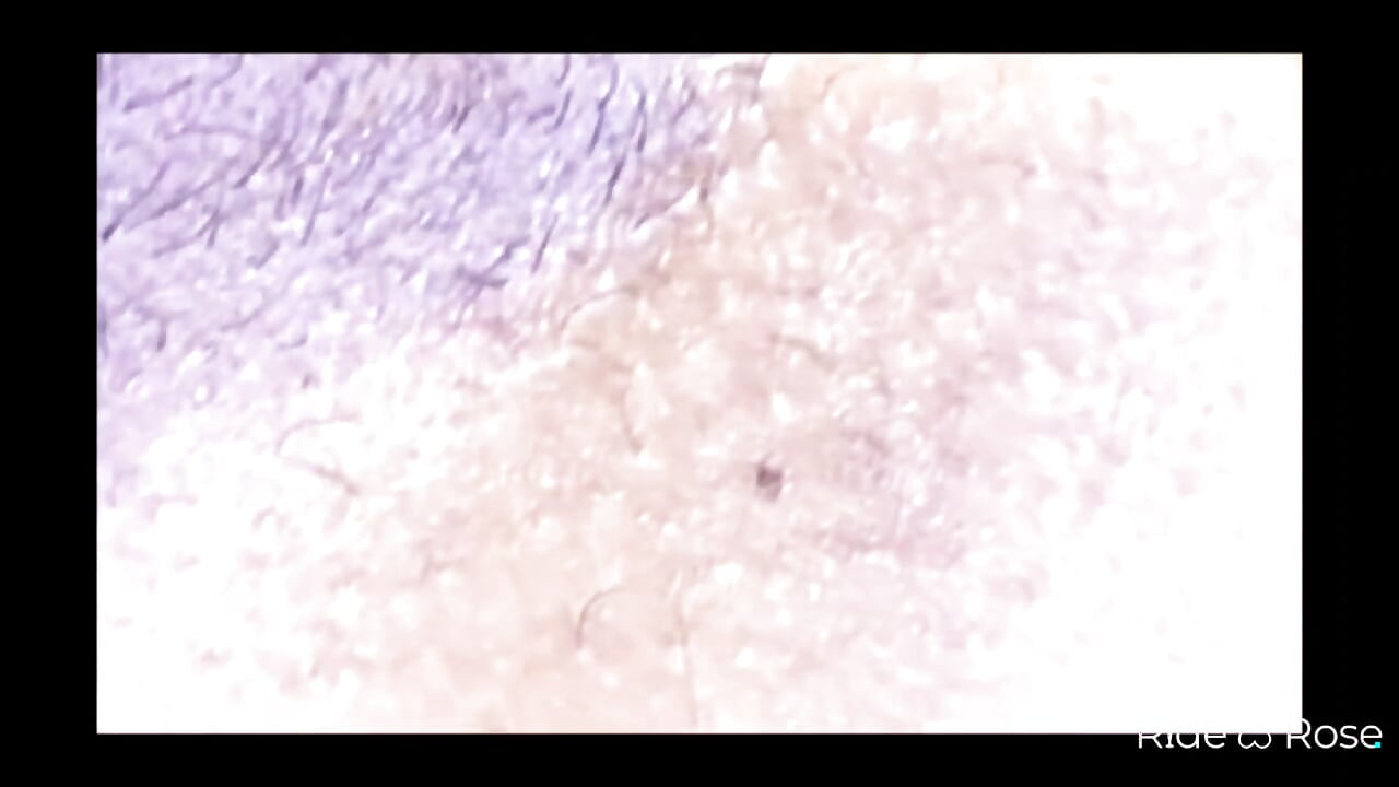 Pequeña pero imposible de dejar de mirar