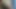 MintFog