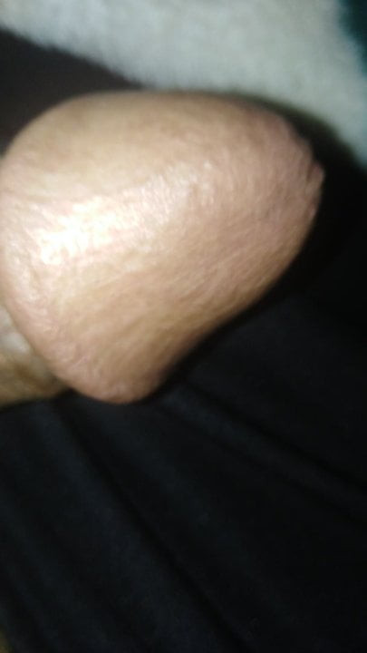 My husband cock