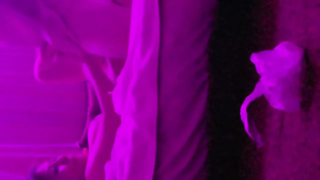 Another massage parlor. Everything but sex. Enjoy!