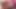 曲がりくねった女の子が競う - 誰が最大のふしだらな女です! パート2:アンジェリカレイヴン対ペネロペパイパー