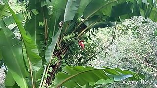 A turista elveszett a dzsungelben, és belebotlott egy vademberbe, aki megdugta