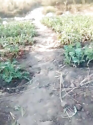 African amateur naked in the bush