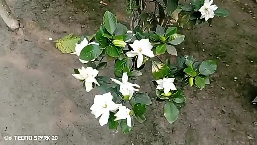 Geheime affäre mit meiner schwägerin im garten