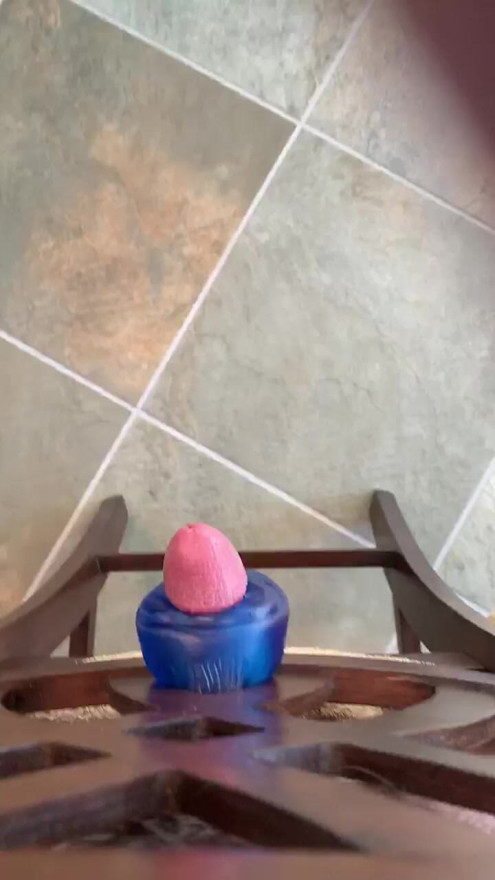 Pocket Pussy Toy