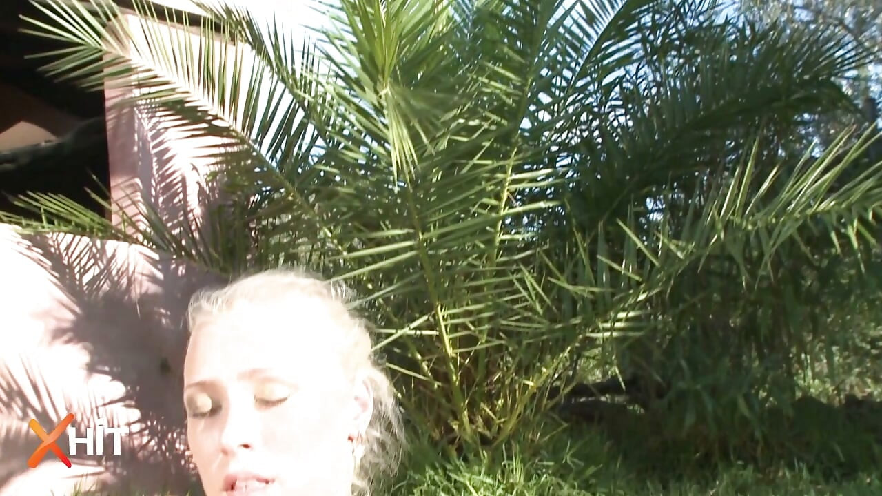 Wild Lust: Pussy Licking Compilation with the Hottest Stars