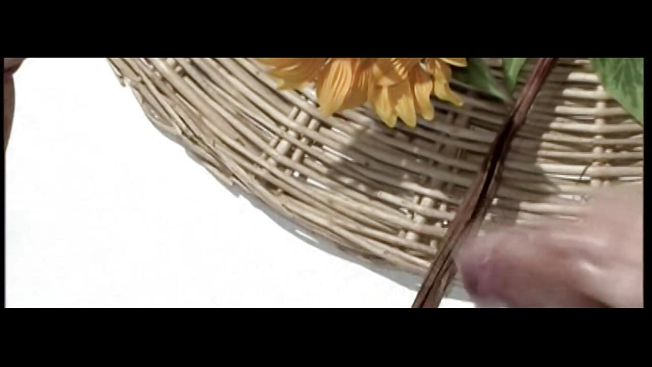 Pussies Terlalu Basah Dan Bersemangat Untuk Menjadi Benar !! - Jilid #01