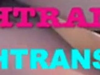 Bannière officielle fétichiste transsexuelle