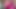 FREE VIDEO!!!