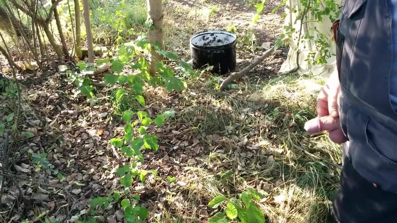 Piss - road.mp4