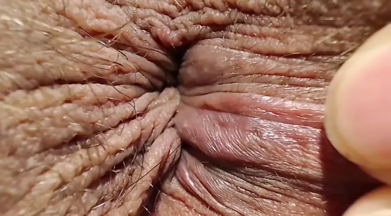 Butt hole made for rimming