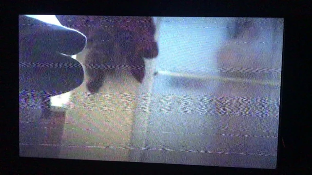 Showering