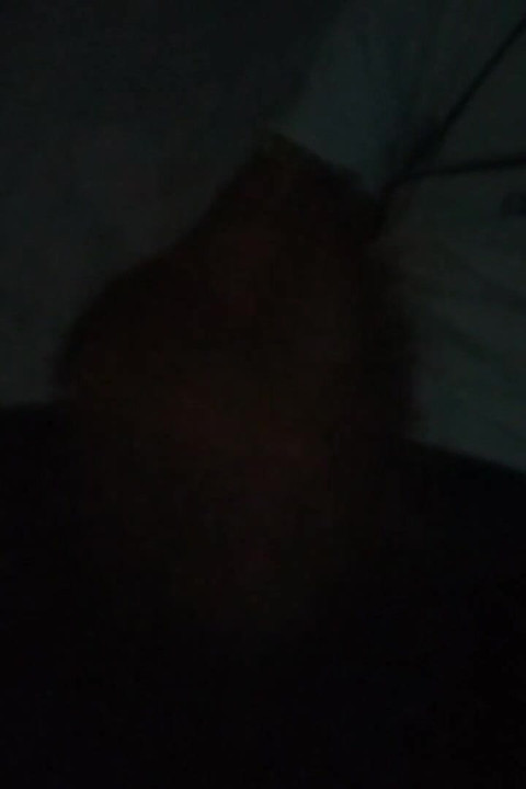Night