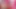 Seksi trans sürtük Drika Lima fervid makinesinin sikişmelerinin tadını çıkarıyor