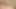 Married men cheating on their wives in the park. He could not resist my dick