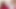 タトゥー入りのセクシーなピアスのある膣、大きなチンポがフェラチック