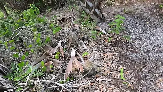 Прогулка на природе за кулисами и мастурбация по тропе