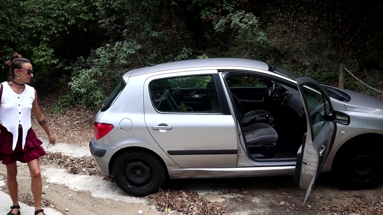 Looking for a place in the woods