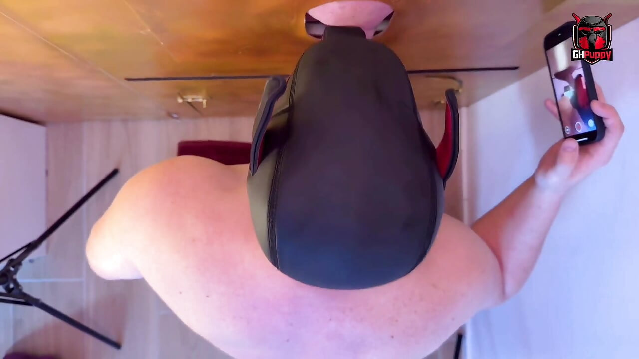 Puppy Plays with His Cock on the Gloriole Until He Cums