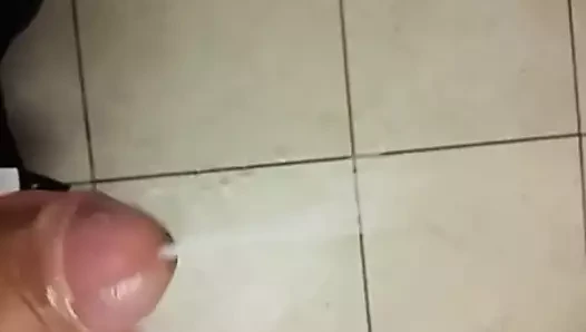 cumming sert