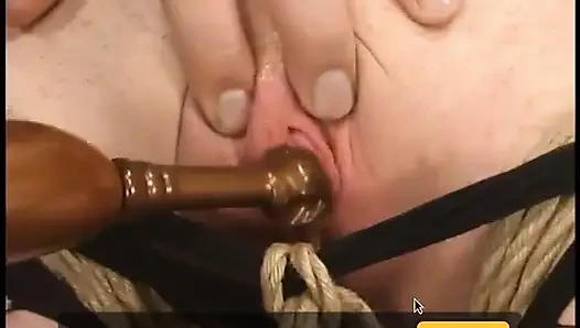 Adrianna nicole ve tork