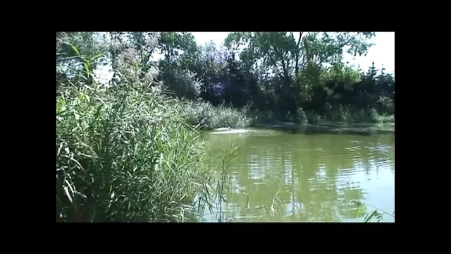 Young Skinny Sluts Fucked Outdoors by Huge Cocks