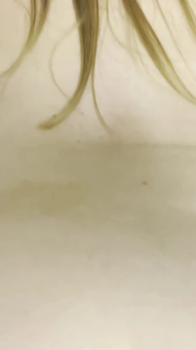 Jaw-dropping moment from "Doggy I get fucked really horny and pumped full of cum, crass creampie"