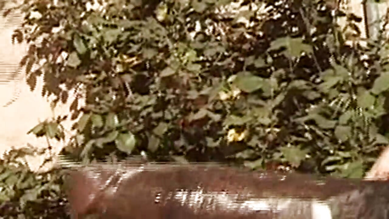 Smiling Brunette Flashes Big Tits and Sucks Throbbing Cock