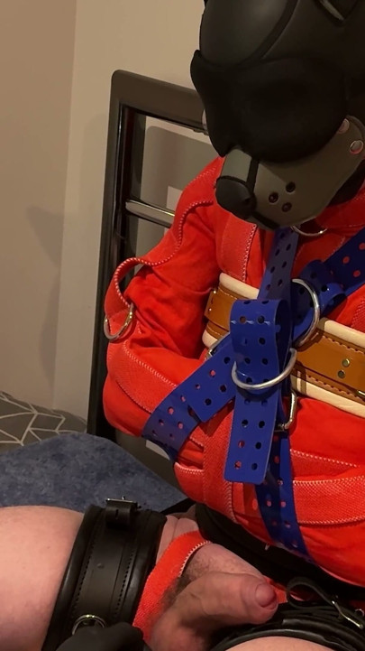 Pup Straitjacketed and Edged