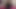 お尻からプッシーへ