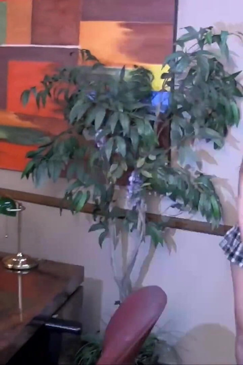 PAWG Hairy Hottie Cum on Bush Fuck! Vintage