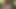 Bizarre files 106