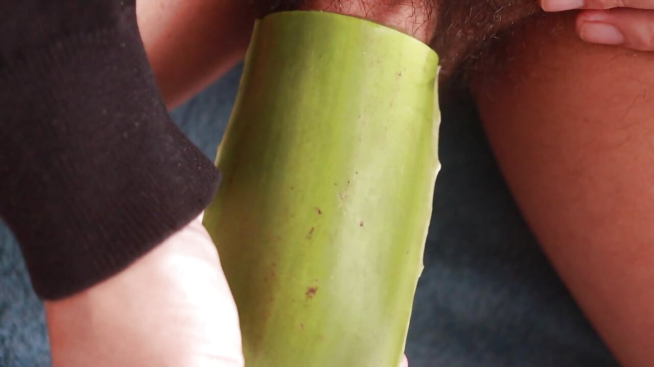 Vollständige Strohstroh-Session mit Aloe Vera